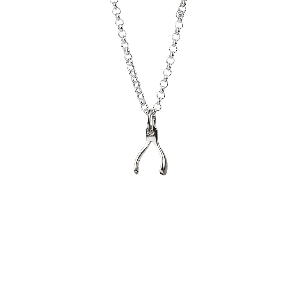 Tiny Silver Wishbone Necklace