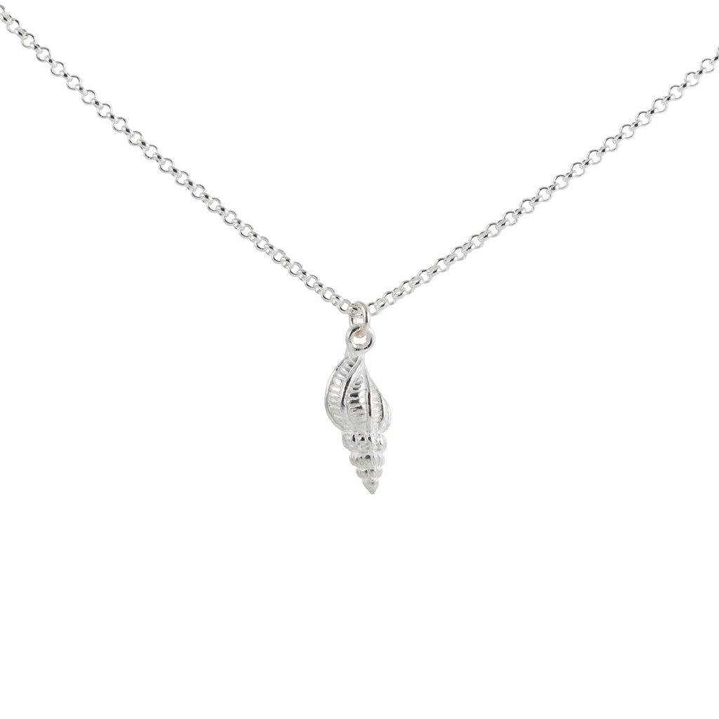 Sea shell Necklace in Silver