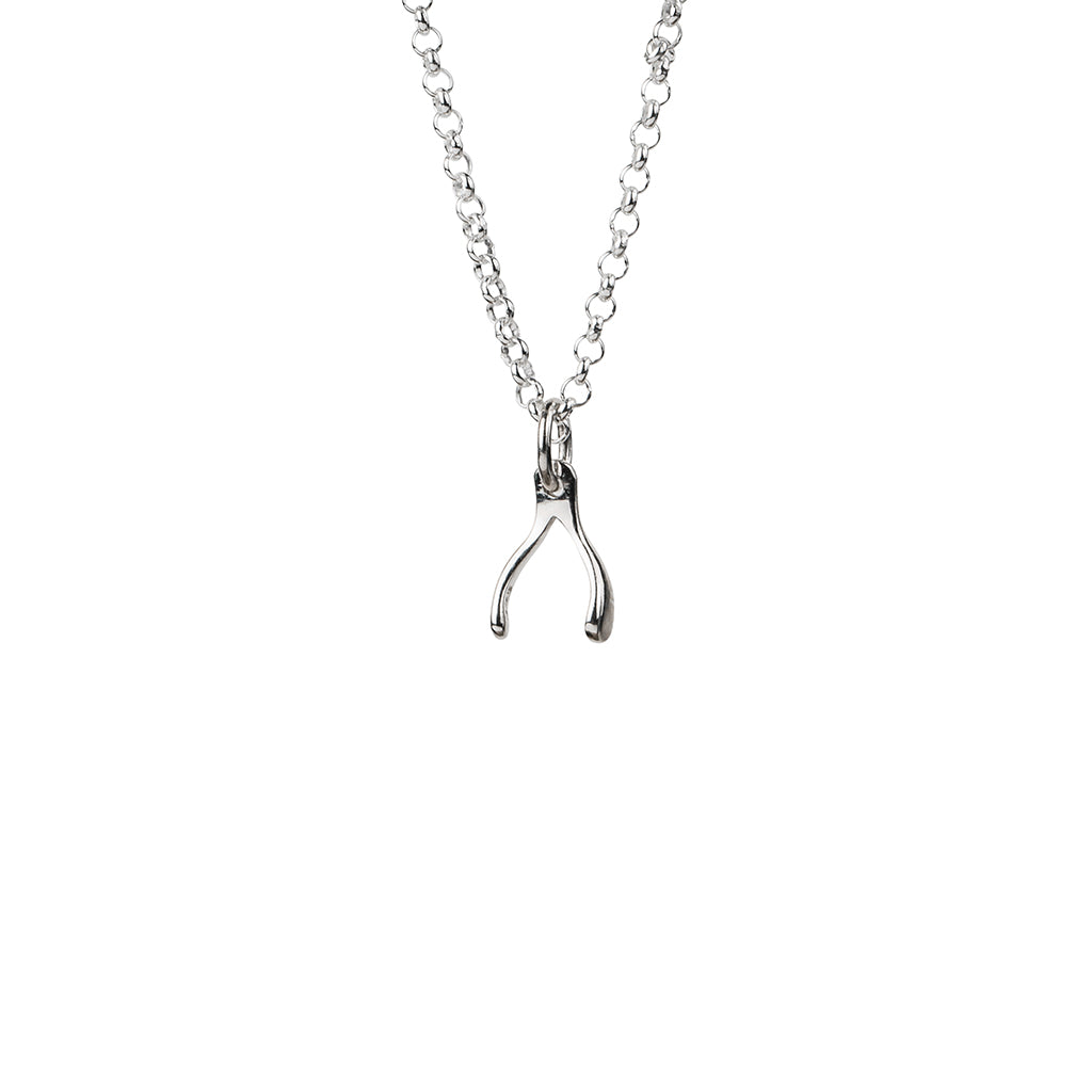Sterling Silver Wishbone Necklace with CZ crystals – alexandreasjewels