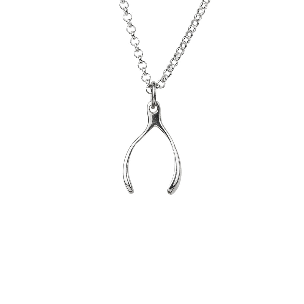 Long Wishbone Necklace in Silver