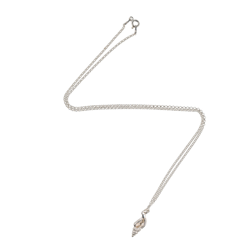 Sea shell Necklace in Silver