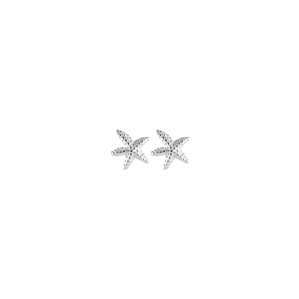 Silver Starfish Stud Earrings