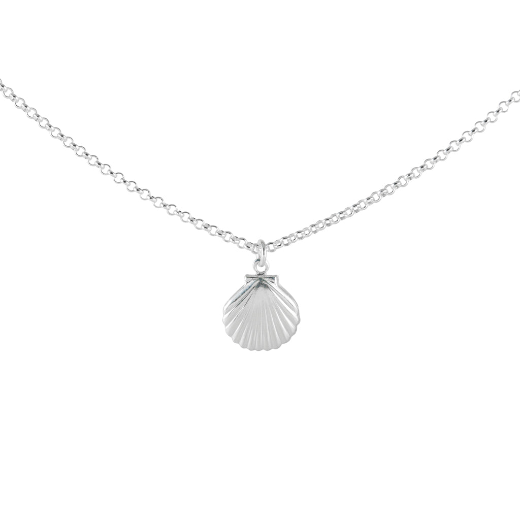 Silver Clam Shell Necklace