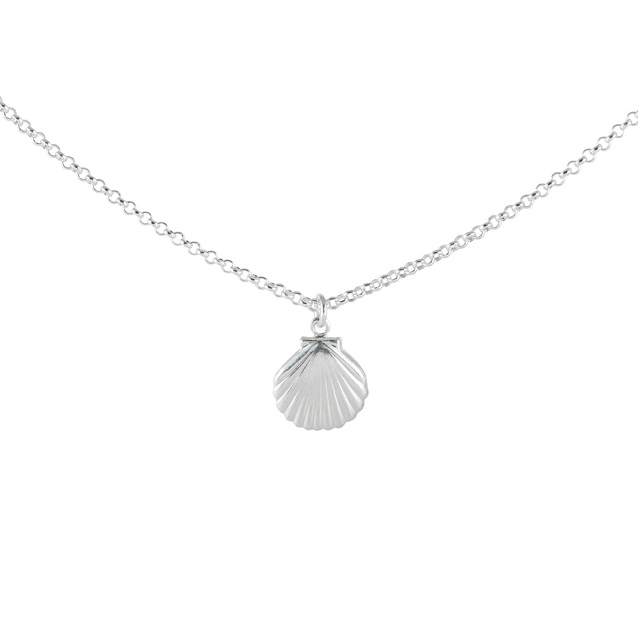 Silver Clam Shell Necklace