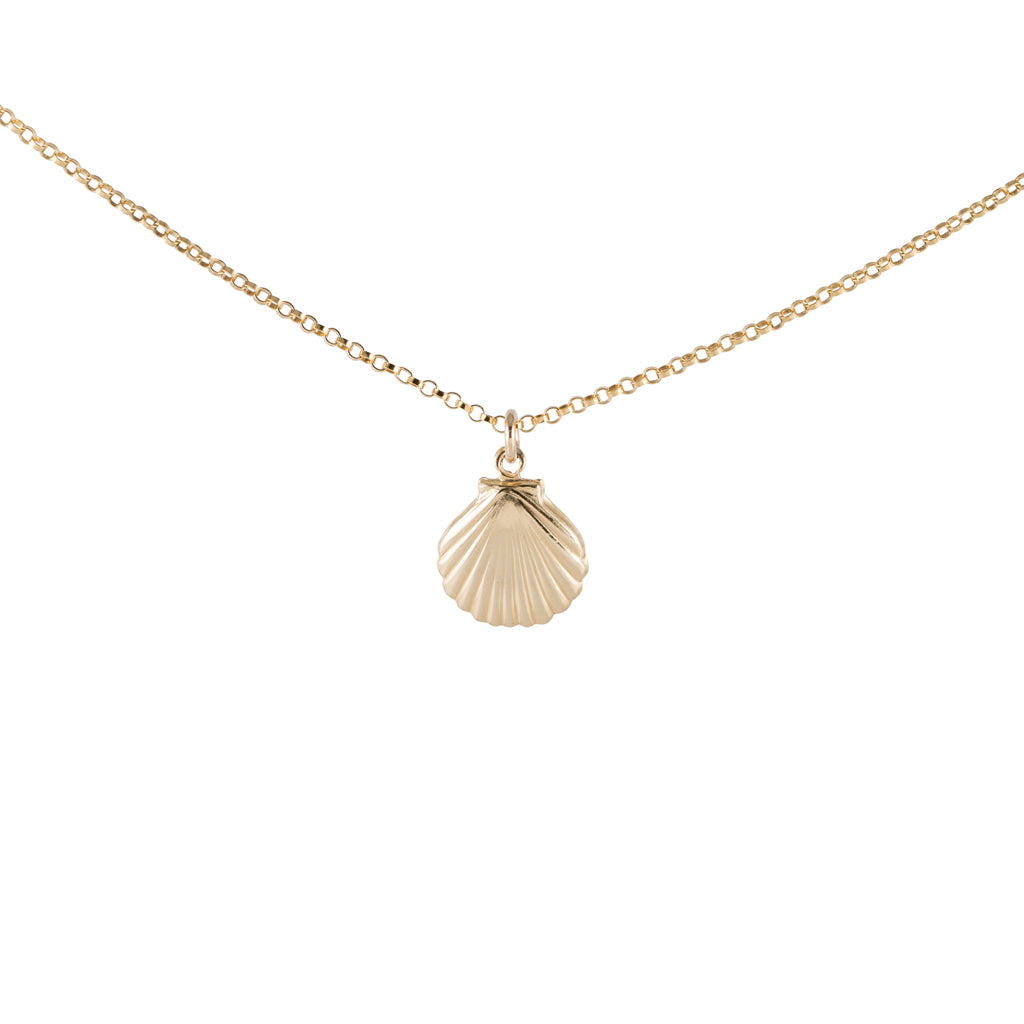Clam Shell Necklace in Gold