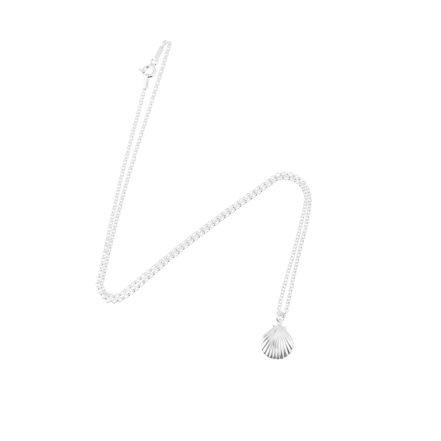 Silver Clam Shell Necklace
