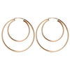 Double Hoop Earrings