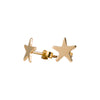 Star Stud Earrings in Gold